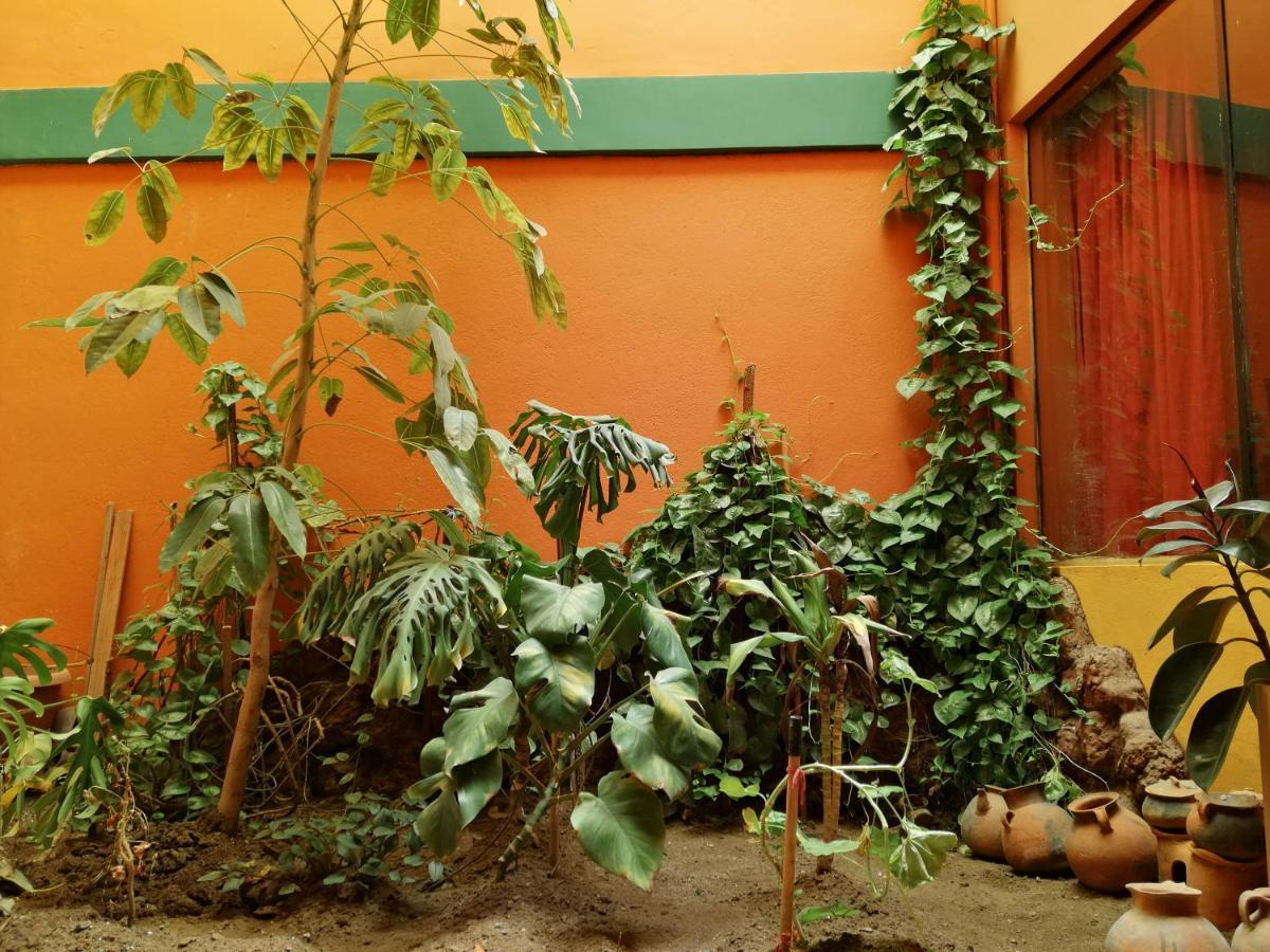 Olas Del Titicaca Backpackers Hostel Copacabana  Dış mekan fotoğraf